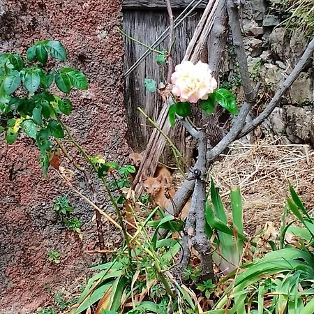 Casa Della Nonna * Pignona